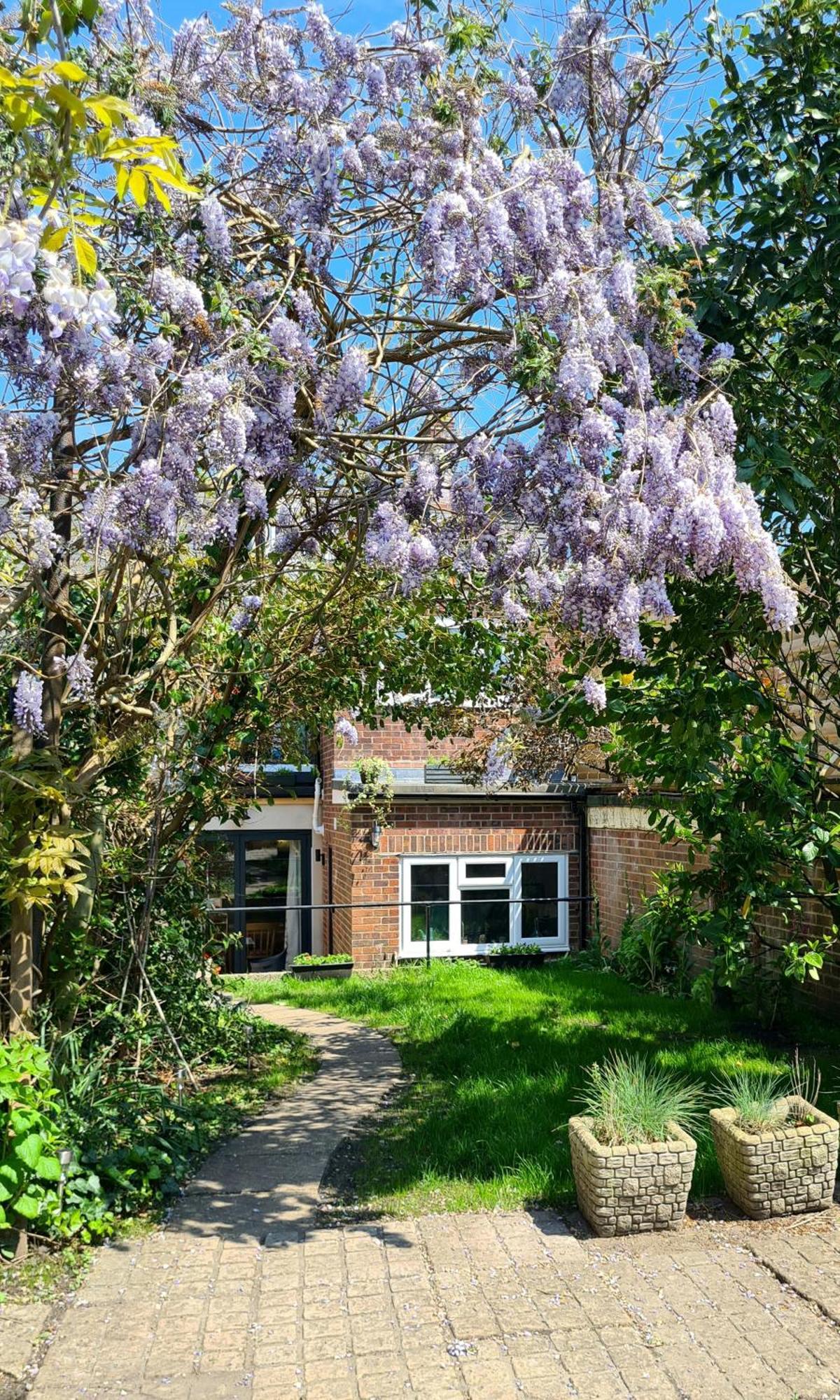 The Hideaway - Luxury Townhouse Villa Wareham Bagian luar foto